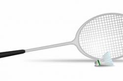 雷速体育官网首页-日本羽毛球队强势击败法国羽毛球队，李宗伟打破历史纪录