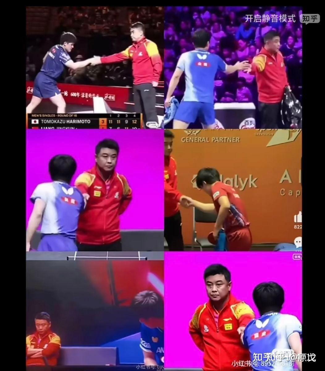 包含瑞典乒乓球队力克比利时乒乓球队，王皓统治全场的词条