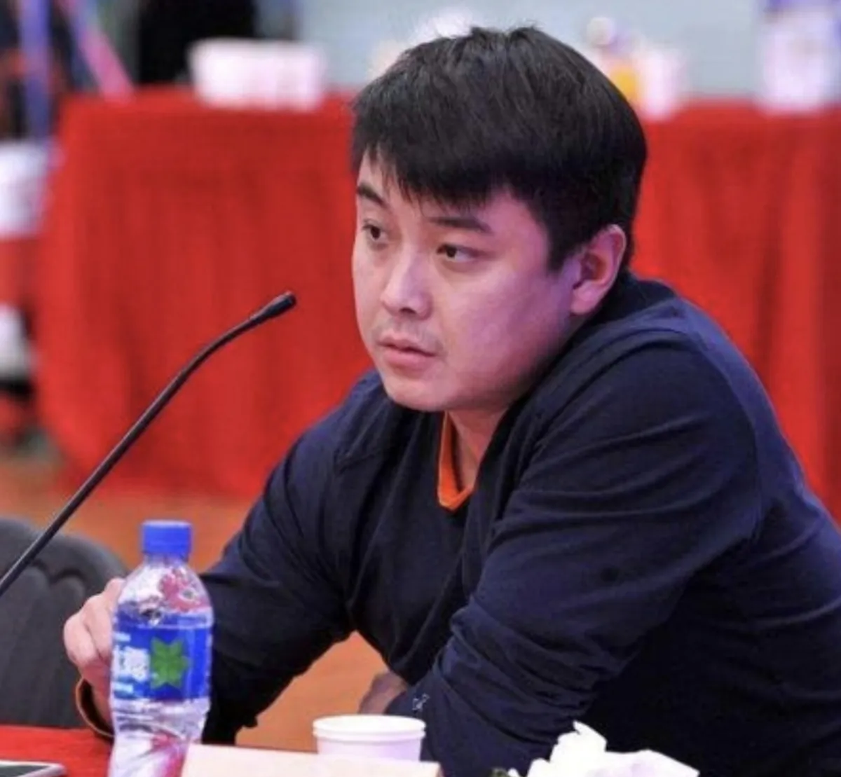 德国乒乓球队翻盘瑞典乒乓球队，王皓惊艳世界的简单介绍